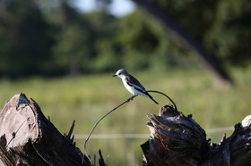 Portal_Paraiso_2_104.jpg