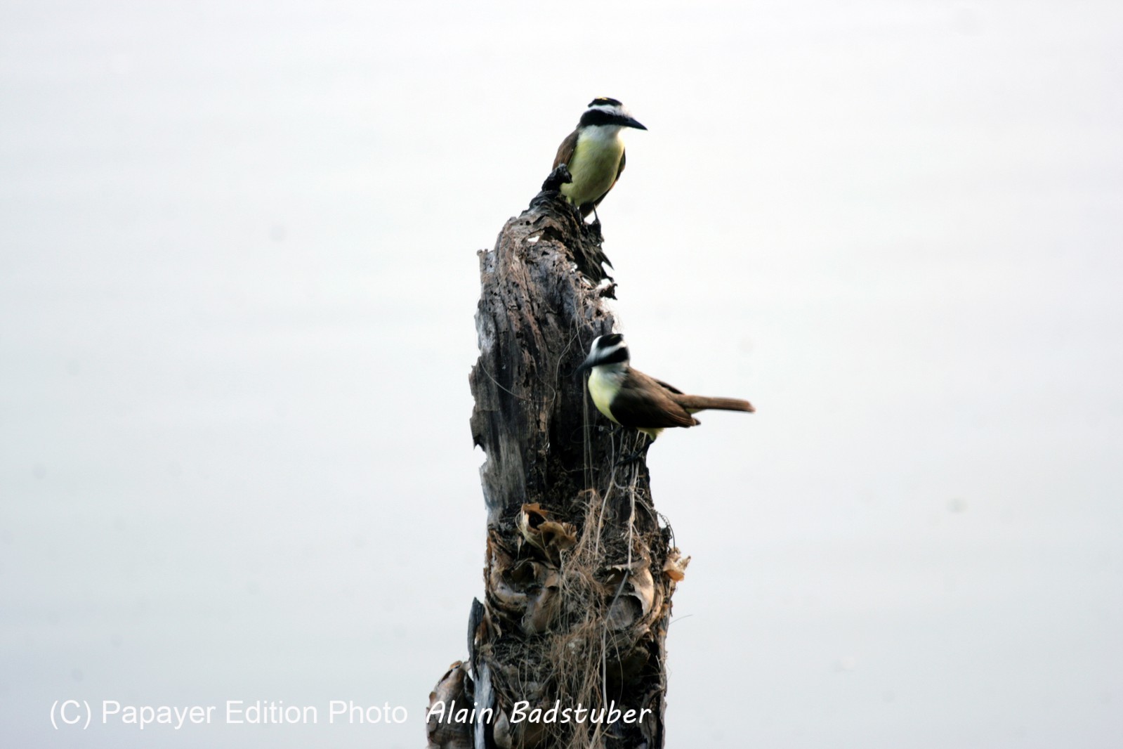 Images_Belize_2011_301