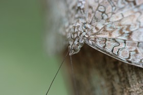 IMG_7994.JPG