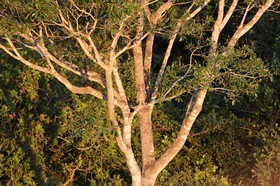 Portal_Paraiso_2_099.jpg
