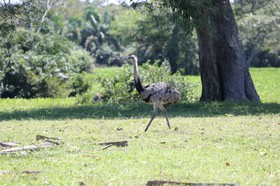 Portal_Paraiso_2_095.jpg