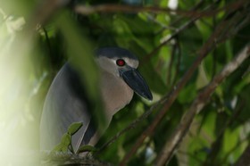 _MG_7210.JPG