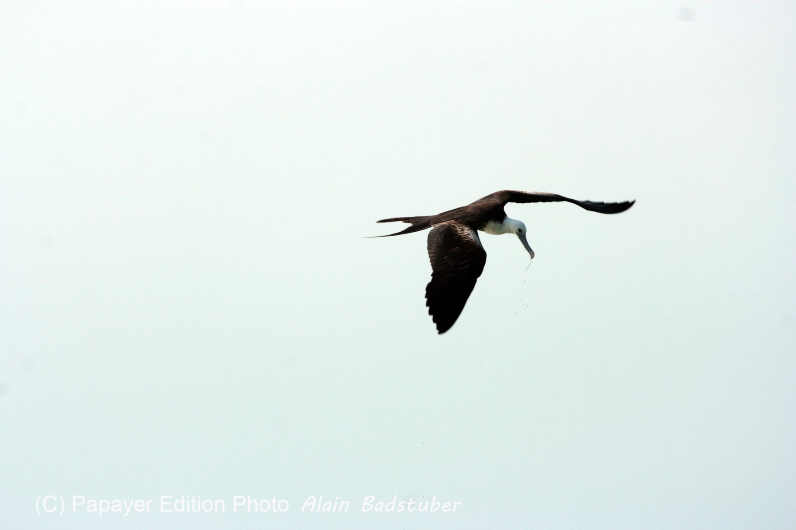 Images_Belize_2011_433