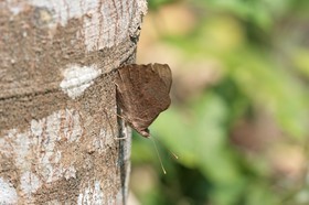 IMG_7962.JPG