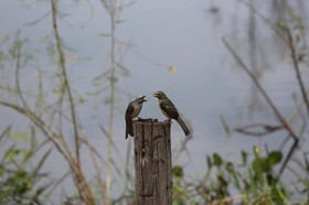 Portal_Paraiso_1_045.jpg
