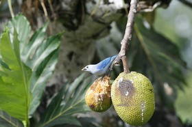 _MG_5026.JPG