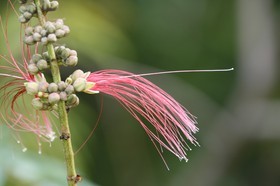 _MG_4124.JPG