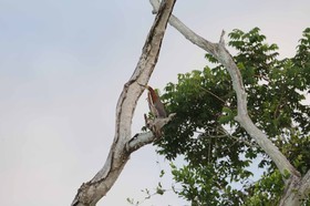 Portal_Paraiso_2_006.jpg