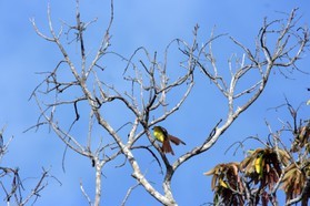 Images_Belize_2011_077