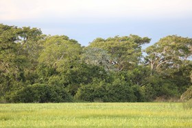 Portal_Paraiso_2_057.jpg