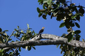 Portal_Paraiso_2_106.jpg