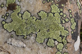 Chassagne_073.JPG