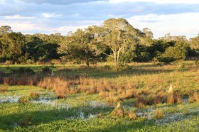 Portal_Paraiso_2_019.jpg