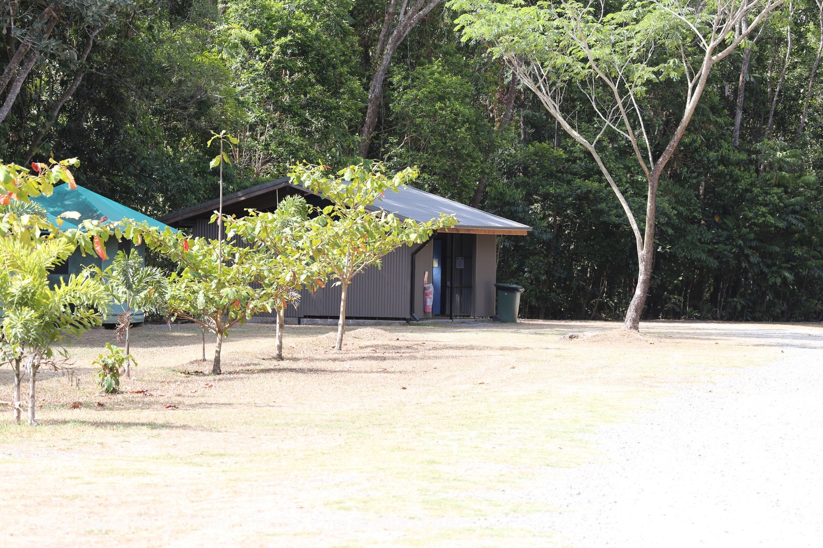 Cape-Trib_1272.JPG