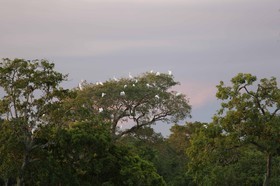 Portal_Paraiso_2_059.jpg