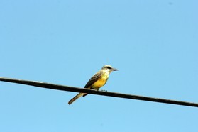 Images_Belize_2011_067