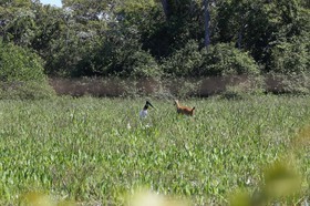 Portal_Paraiso_2_116.jpg