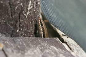 IMG_9851.JPG