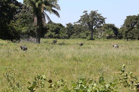 Portal_Paraiso_2_088.jpg