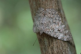 IMG_7990.JPG