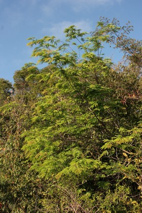 IMG_8143.JPG