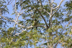 Portal_Paraiso_2_029.jpg