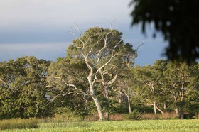 Portal_Paraiso_2_058.jpg