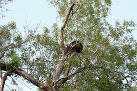 Images_Belize_2011_302