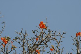 _MG_7820.JPG