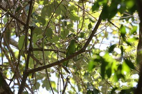 Portal_Paraiso_2_093.jpg