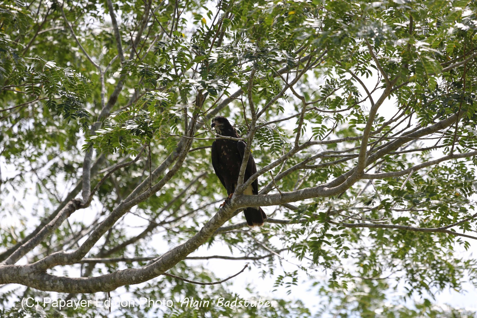 Portal_Paraiso_2_044.jpg